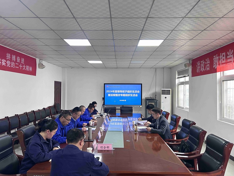 賽柯瑞思公司召開2024年度領(lǐng)導(dǎo)班子組織生活會(huì)暨巡視整改專題組織生活會(huì)