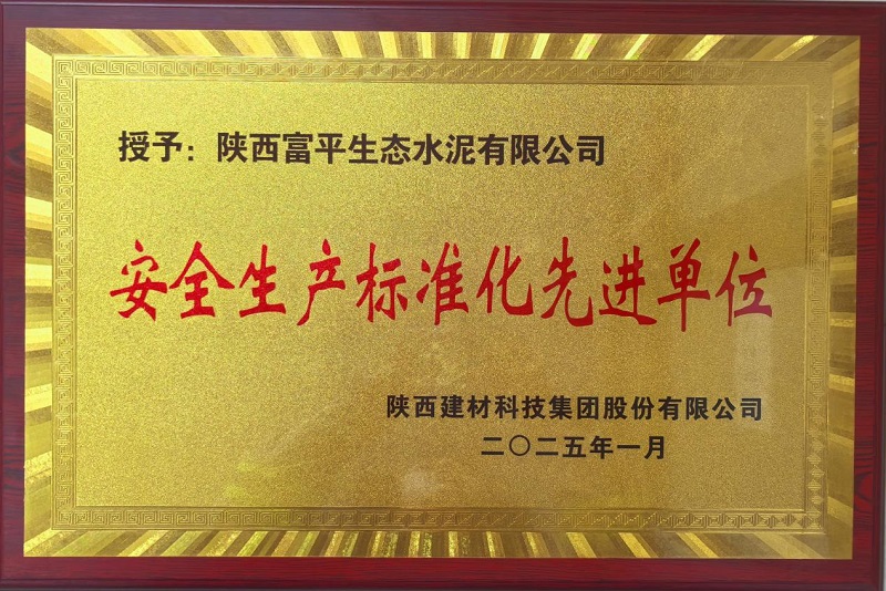 富平公司:奮楫揚(yáng)帆逐“安”行