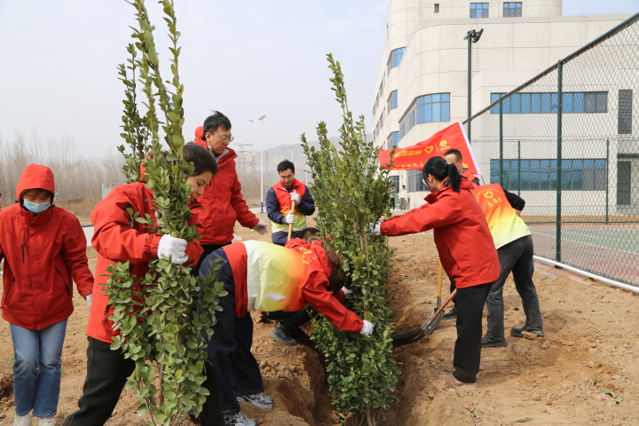 龍門(mén)綠碳公司：“植”此青綠 共筑綠韻山河